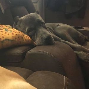 Meet your Posher, Jillian